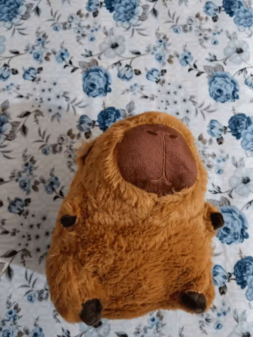 Image #1 from Sumit Chawla